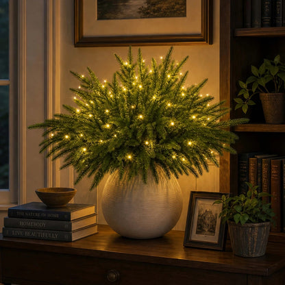 Enchanted Evergreen Pine – 18" Pre-Lit Norfolk Pine Branches with Warm LED Glow
