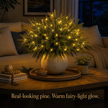 Enchanted Evergreen Pine – 18" Pre-Lit Norfolk Pine Branches with Warm LED Glow