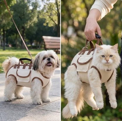 Little Paws, Big Adventures — Carrier Harness for Cats & Small Dogs