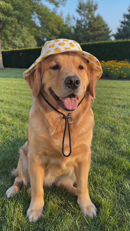 🐾 Adjustable Pet Sun Hat – Wide-Brim Bucket Hat for Dogs & C