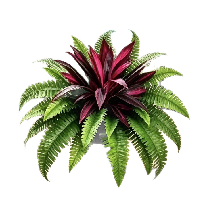 Lifelike Artificial Fern & Red Dracaena – UV-Resistant Outdoor Greenery