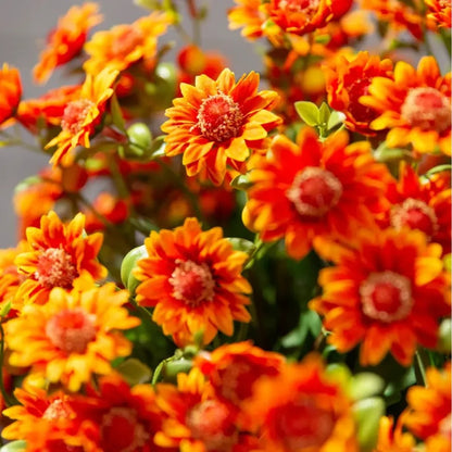 Artificial Sunset Mums – 5-Bundle UV-Resistant Outdoor Fall Flowers for Porch & Planters
