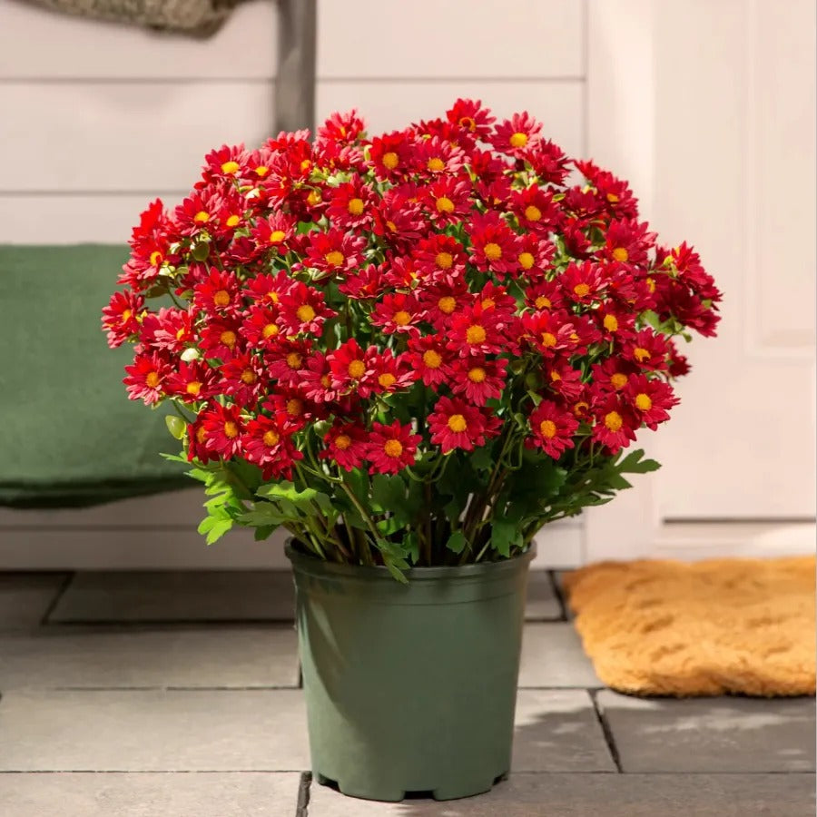Artificial Sunset Mums – 5-Bundle UV-Resistant Outdoor Fall Flowers for Porch & Planters