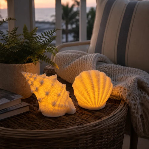 🌊✨Coastal Afterglow Shell & Conch Light Set