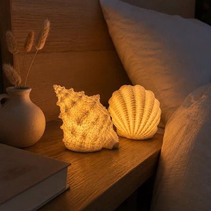 🌊✨Coastal Afterglow Shell & Conch Light Set