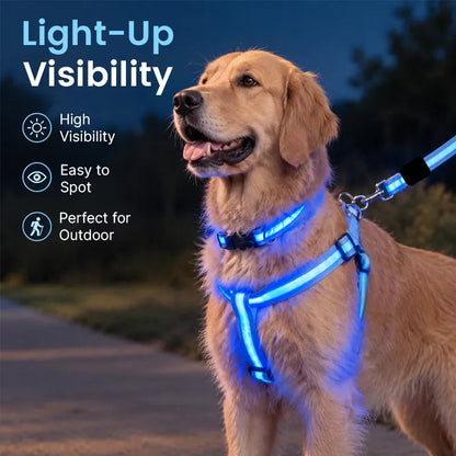 💙LED Light-Up Dog Harness and Leash Set