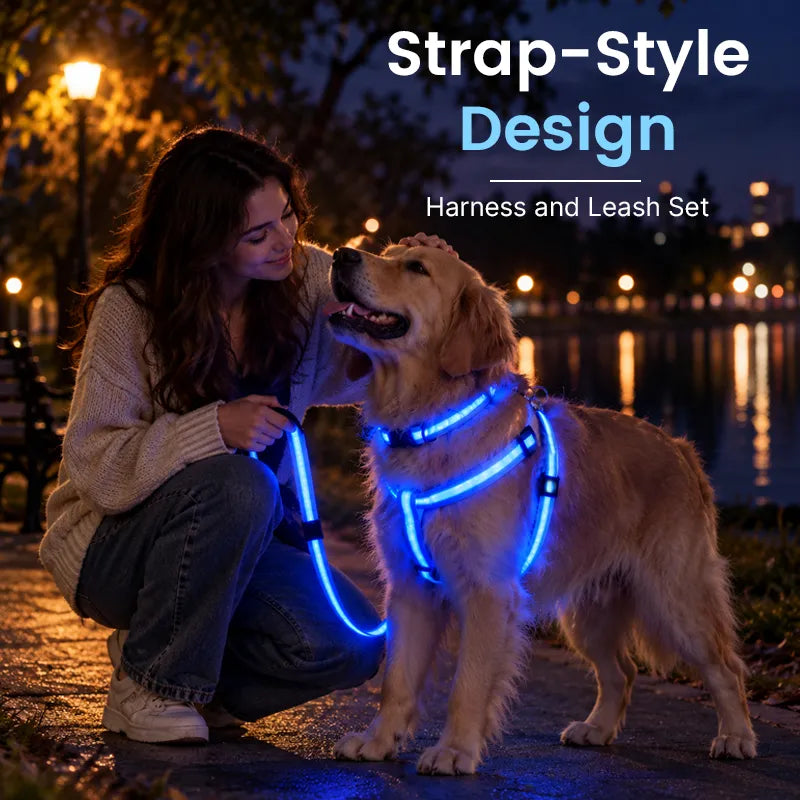 💙LED Light-Up Dog Harness and Leash Set