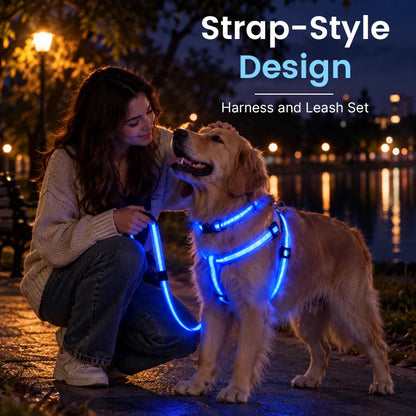 💙LED Light-Up Dog Harness and Leash Set