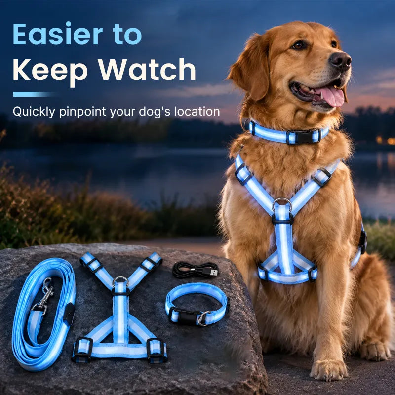 💙LED Light-Up Dog Harness and Leash Set