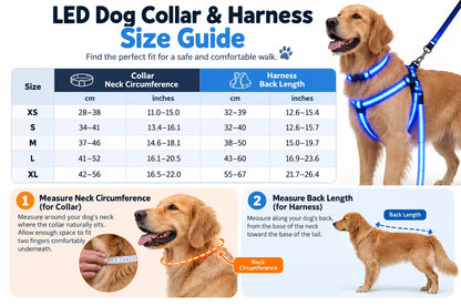 💙LED Light-Up Dog Harness and Leash Set