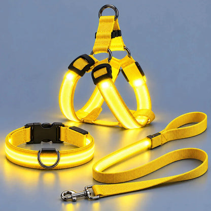 💙LED Light-Up Dog Harness and Leash Set