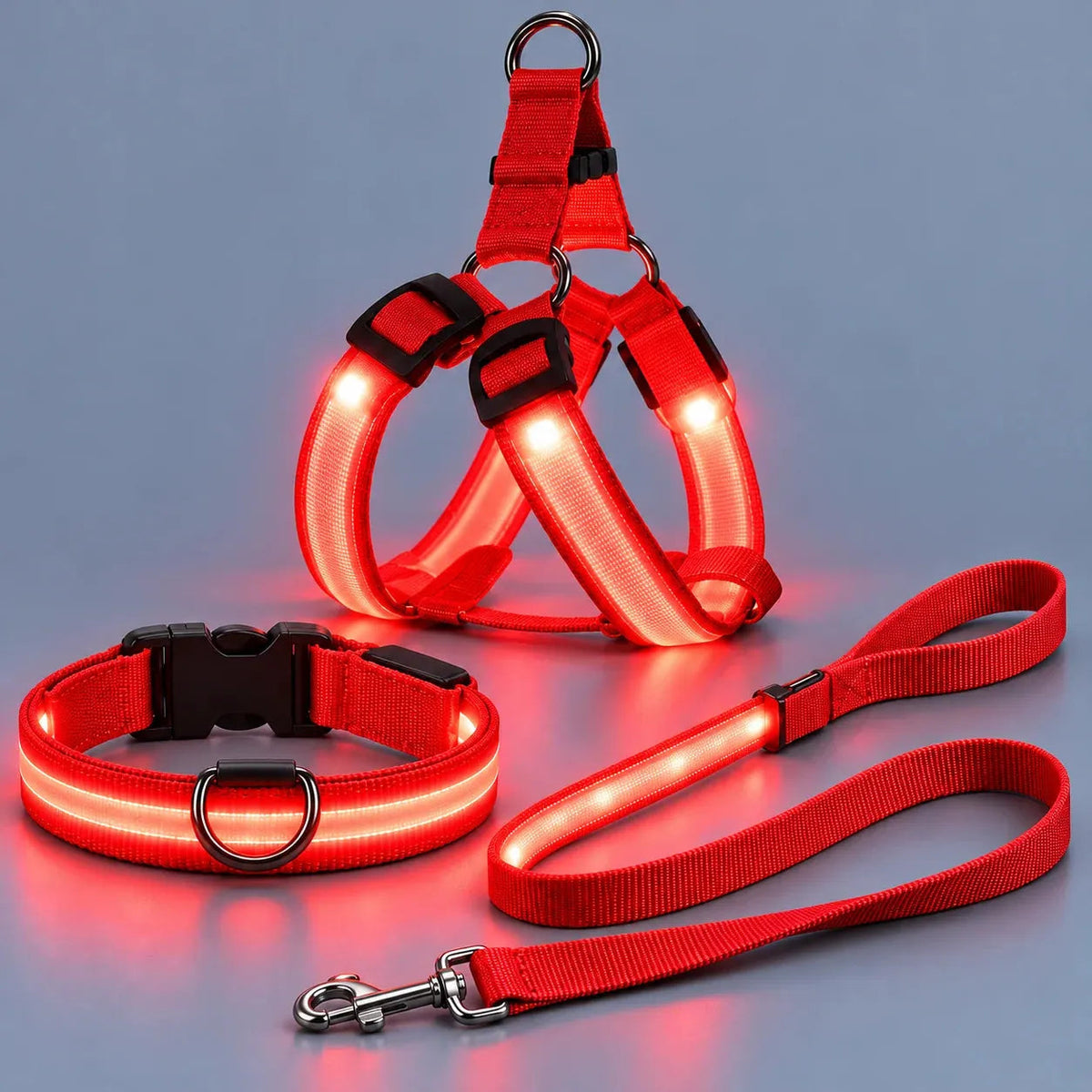 💙LED Light-Up Dog Harness and Leash Set