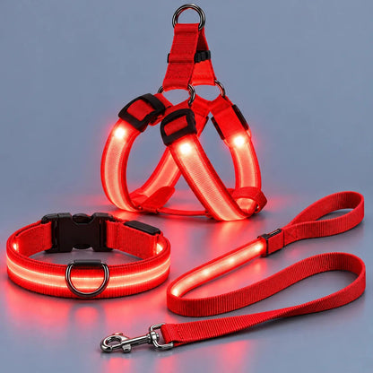 💙LED Light-Up Dog Harness and Leash Set