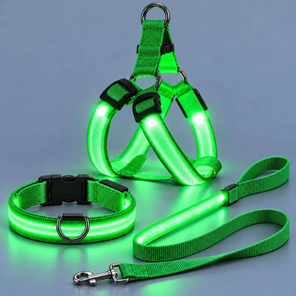 💙LED Light-Up Dog Harness and Leash Set