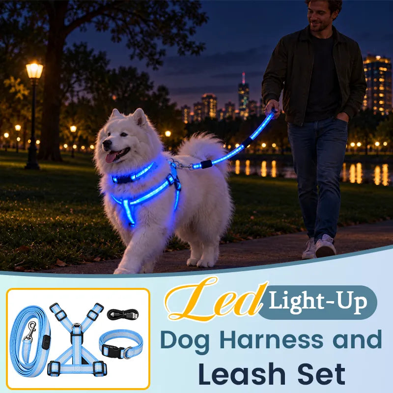💙LED Light-Up Dog Harness and Leash Set