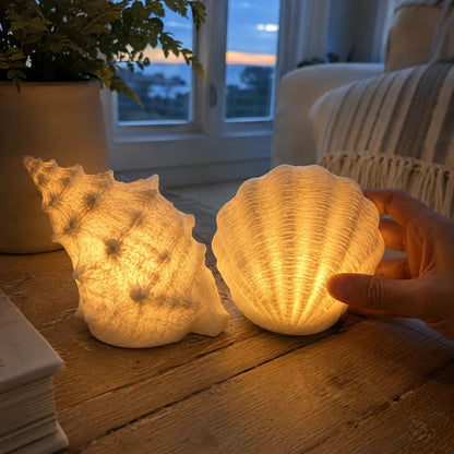 🌊✨Coastal Afterglow Shell & Conch Light Set