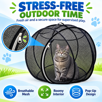 🔥🐱 Pop-Up Cat Playpen 🌿 Fresh Air, Safe Space, Happy Cat