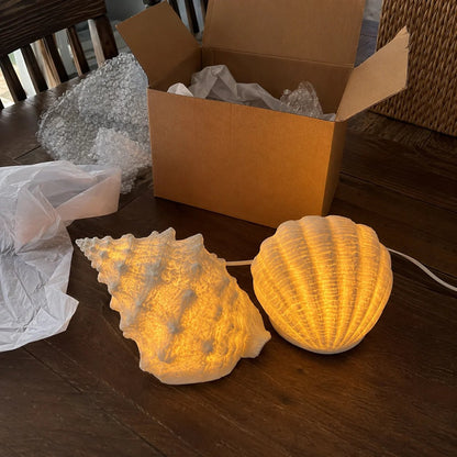 🌊✨Coastal Afterglow Shell & Conch Light Set