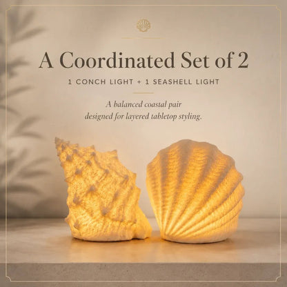🌊✨Coastal Afterglow Shell & Conch Light Set