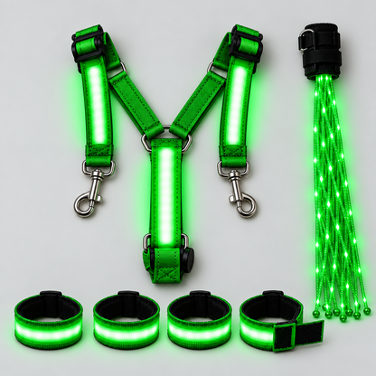 MoonRein™ — LED Horse Riding Light Set(Body + 4 Legs + Tail)