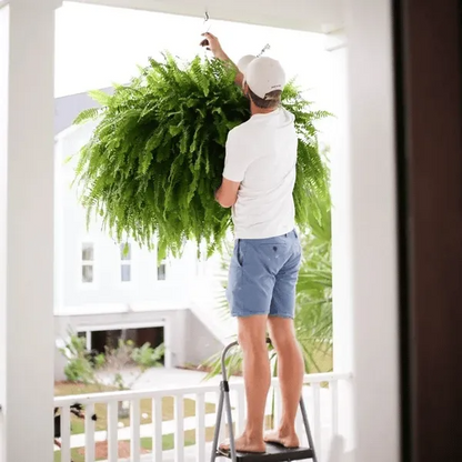 🌿 Lighted Boston Fern Hanging Basket – Lush No-Water Greenery with Warm Lights