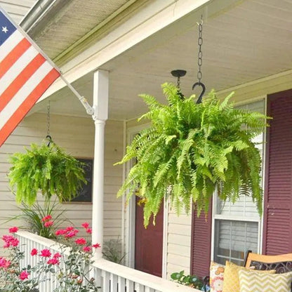 🌿 Lighted Boston Fern Hanging Basket – Lush No-Water Greenery with Warm Lights