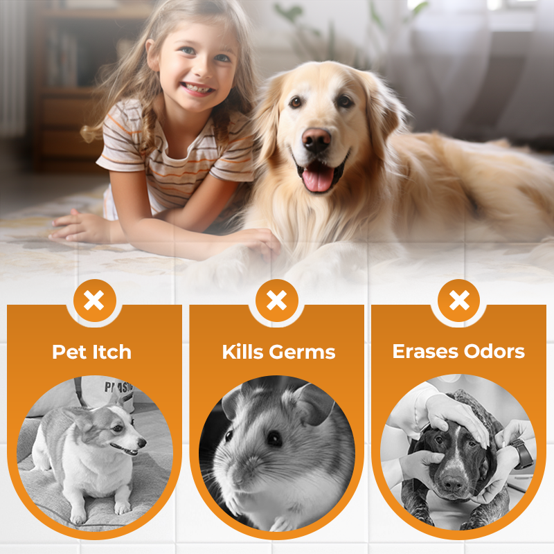 Common pet home odor and hygiene concerns