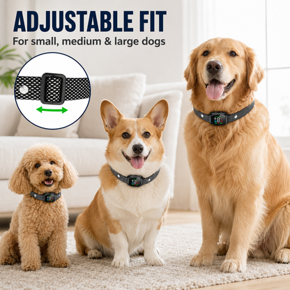 ⭐ Bestseller! 🔥Hot Sale - 50% OFF🔥No-shock anti-bark collar – beep & vibration modes, IP67 waterproof. Fits all sizes. 🐕✨