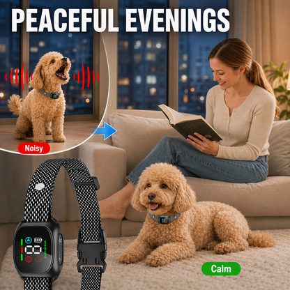 ⭐ Bestseller! 🔥Hot Sale - 50% OFF🔥No-shock anti-bark collar – beep & vibration modes, IP67 waterproof. Fits all sizes. 🐕✨