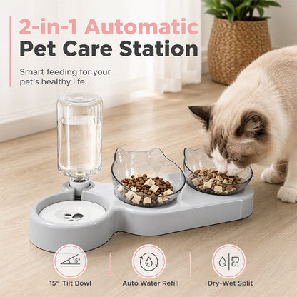 🥳2026 HOT SALE🥳💞50K+ SOLD!50% OFF🔥2-in-1 Ergonomic Elevated Tilted Pet Bowl