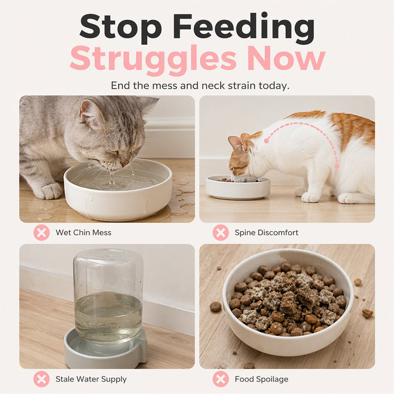 🥳2026 HOT SALE🥳💞50K+ SOLD!50% OFF🔥2-in-1 Ergonomic Elevated Tilted Pet Bowl